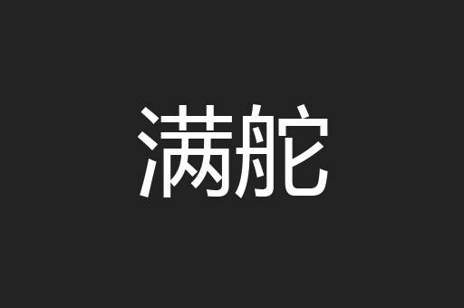 满舵