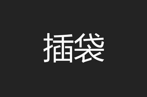 插袋