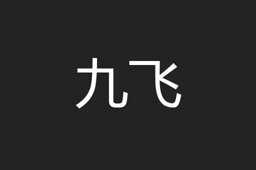 九飞