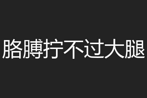 胳膊拧不过大腿