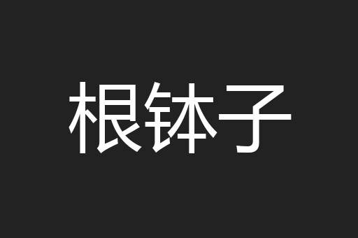 根钵子