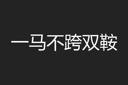 一马不跨双鞍