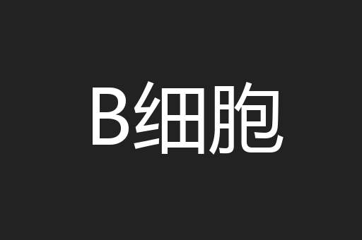 B细胞