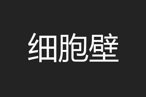 细胞壁