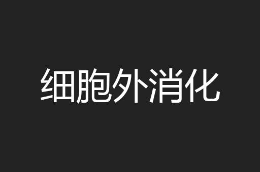 细胞外消化