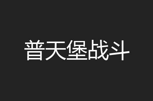 普天堡战斗