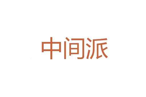 豹皮囊