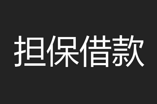 担保借款