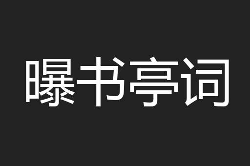 曝书亭词