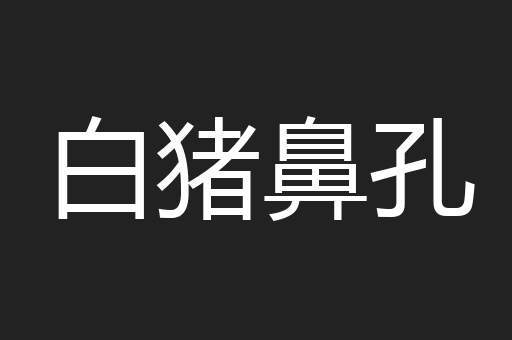白猪鼻孔