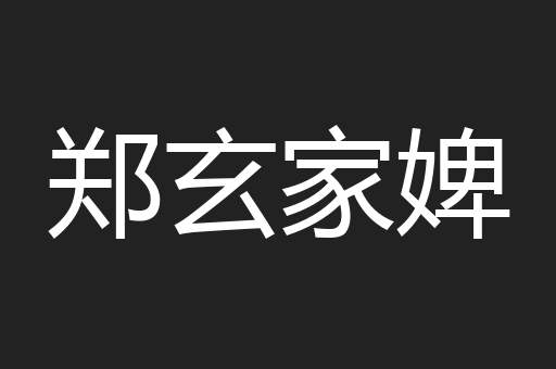 郑玄家婢