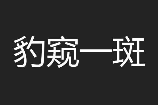 豹窥一斑