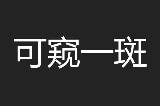 可窥一斑