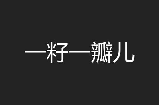 一籽一瓣儿