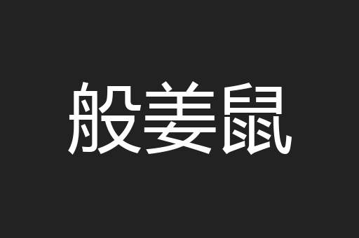 般姜鼠