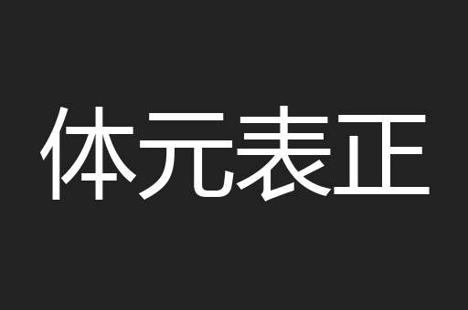 体元表正