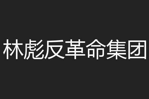 林彪反革命集团