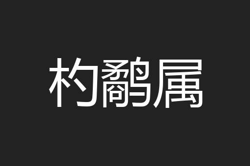 杓鹬属