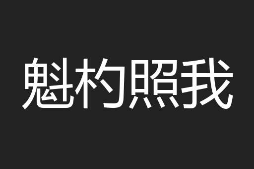 魁杓照我