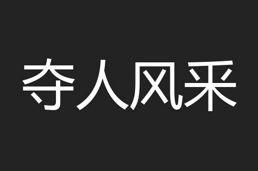 夺人风釆