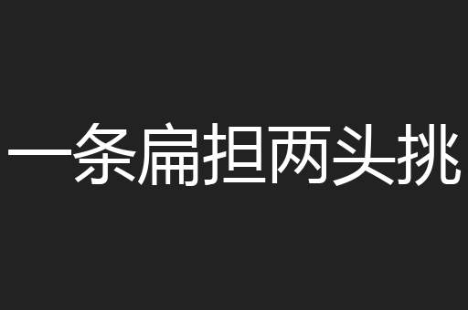 一条扁担两头挑