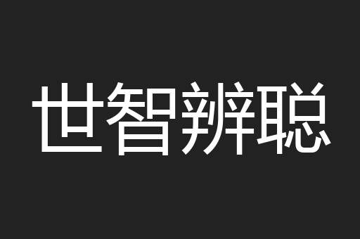 世智辨聪