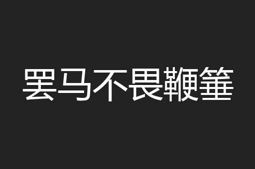 罢马不畏鞭箠