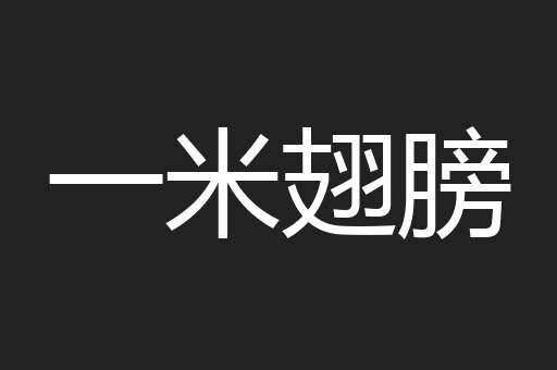 一米翅膀