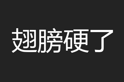 翅膀硬了