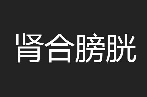 肾合膀胱