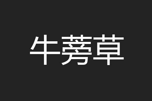 牛蒡草