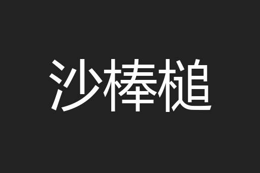 沙棒槌