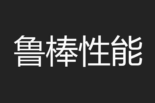鲁棒性能