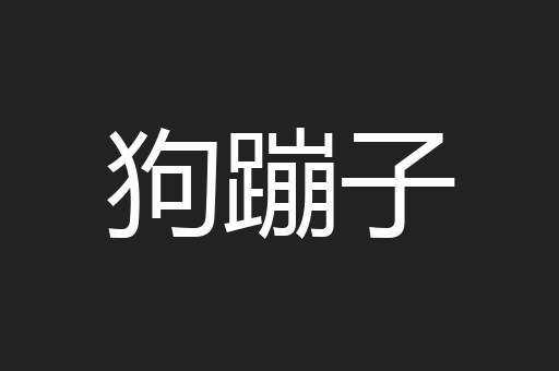 狗蹦子