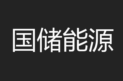 国储能源