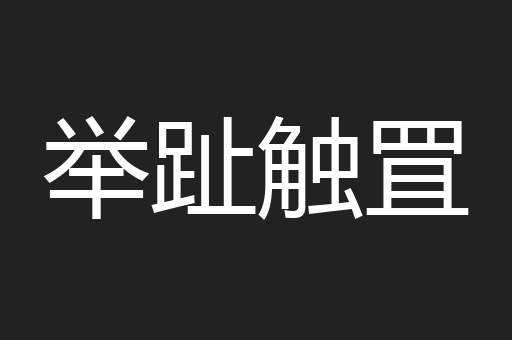 举趾触罝