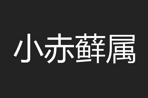 小赤藓属