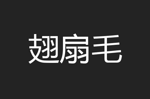 翅扇毛