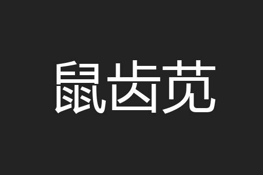鼠齿苋