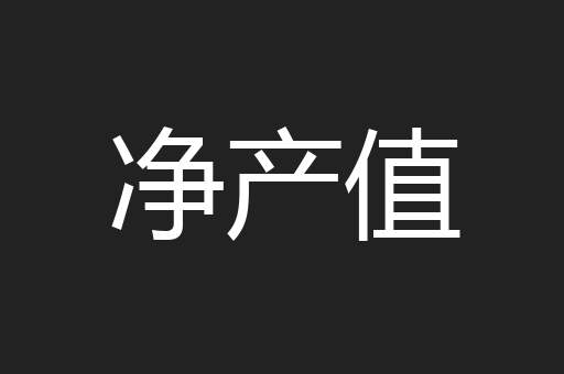 净产值