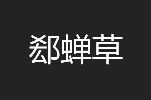 郄蝉草