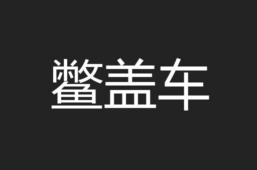 鳖盖车
