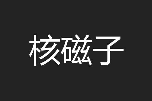 核磁子