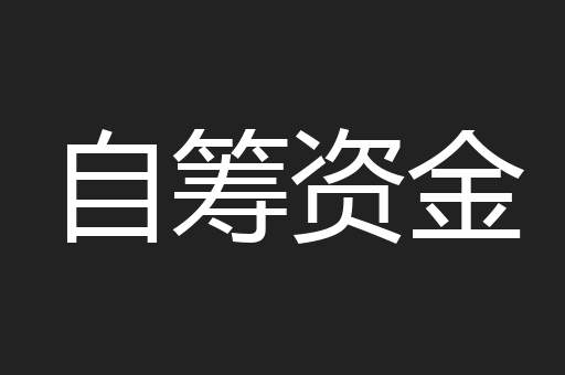自筹资金
