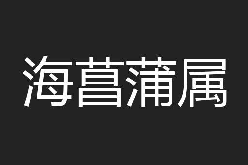 海菖蒲属