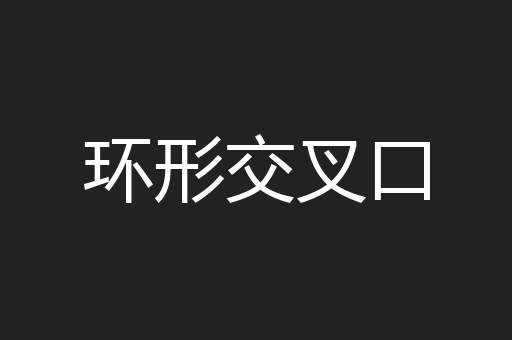 环形交叉口