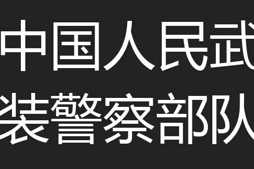 中国人民武装警察部队