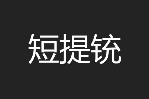短提铳