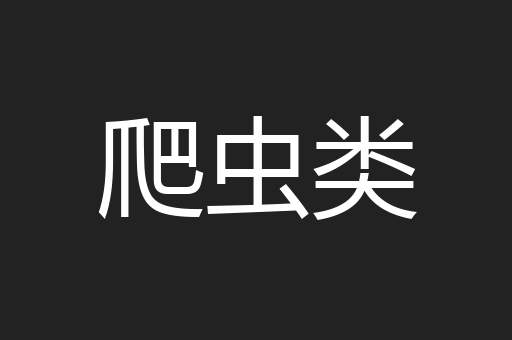 爬虫类