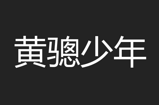 黄骢少年